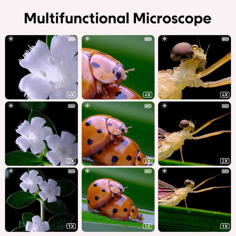 Tiny Explorer: Uncover the Wonders of the Micro World!